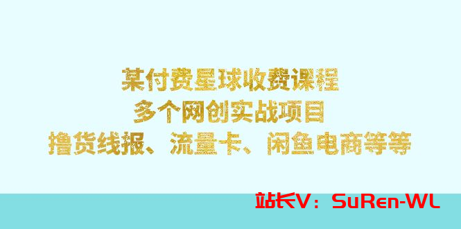 某付费课程：多个网创实战项目，撸货线报、流量卡、闲鱼电商等等-俗人博客网