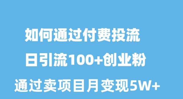 如何通过付费投流日引流100+创业粉月变现5W+-俗人博客网