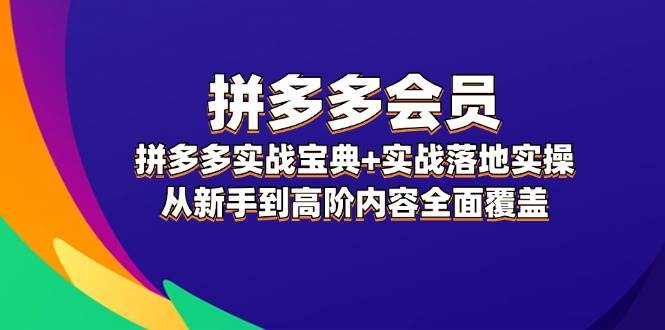拼多多 会员，拼多多实战宝典+实战落地实操，从新手到高阶内容全面覆盖-俗人博客网