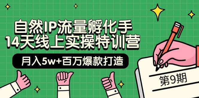 自然IP流量孵化手 14天线上实操特训营【第9期】月入5w+百万爆款打造 (74节)-俗人博客网